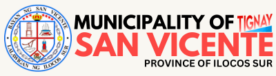 Municipality of San Vicente
